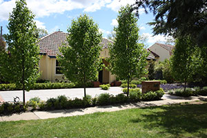 Home Gardens in Canberra