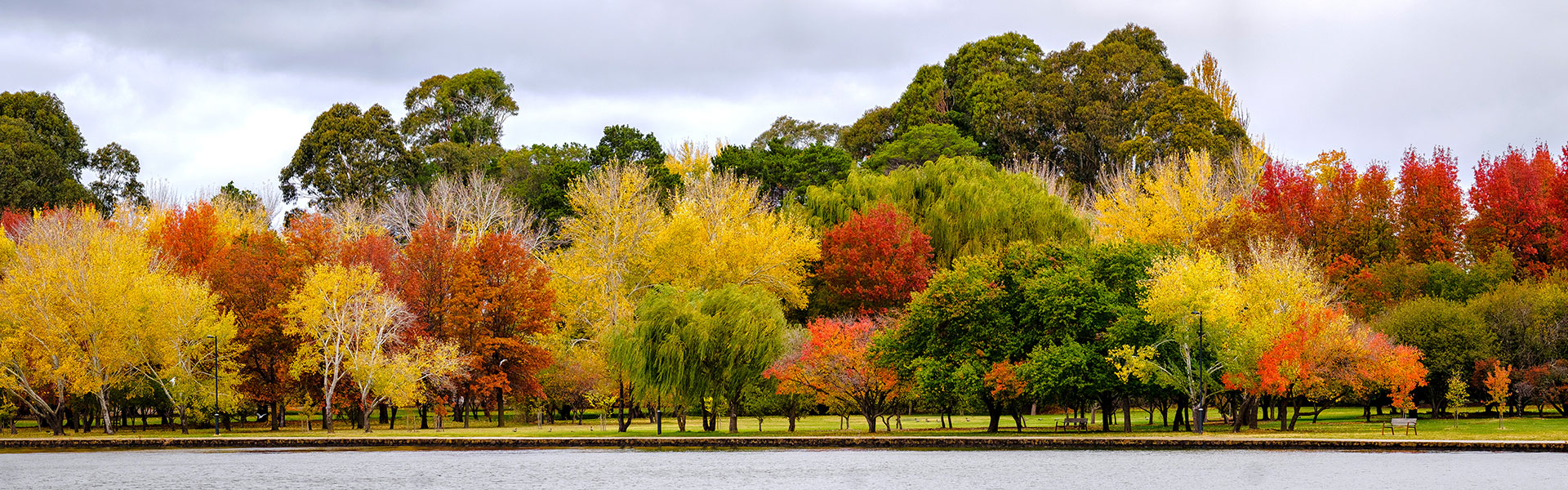 Autumn trees near a lake